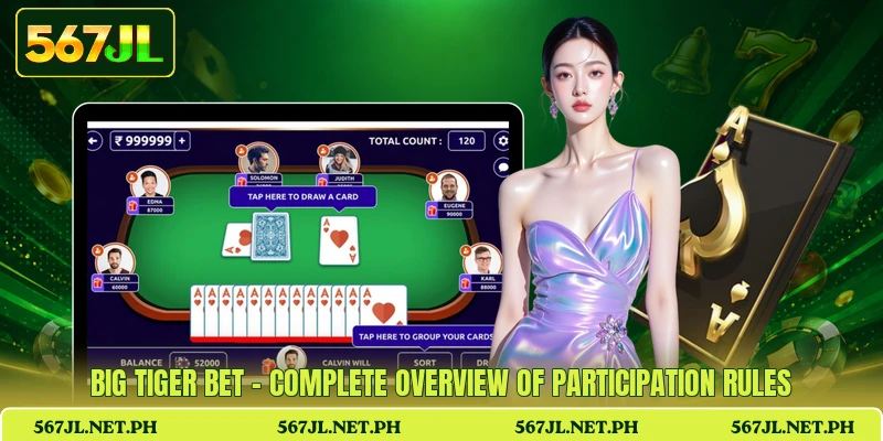 Big Tiger Bet - Complete Overview Of Participation Rules
