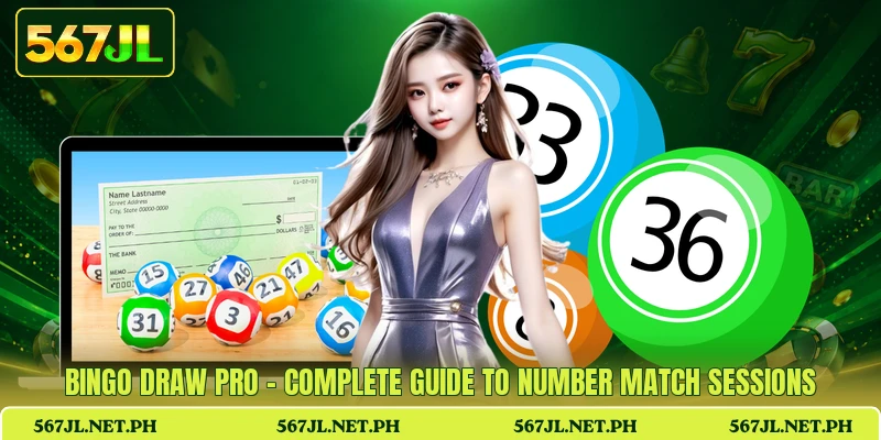 Bingo Draw Pro - Complete Guide To Number Match Sessions