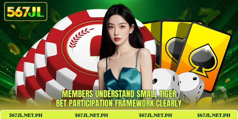 Members understand Small Tiger Bet participation framework clearly Members understand Small Tiger Bet participation framework clearly