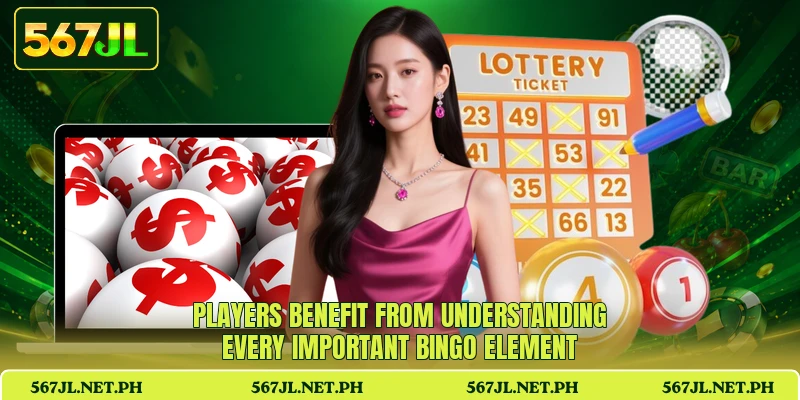 Players benefit from understanding every important bingo element
