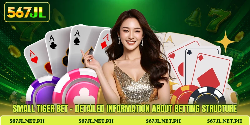 Small Tiger Bet - Detailed Information About Betting Structure